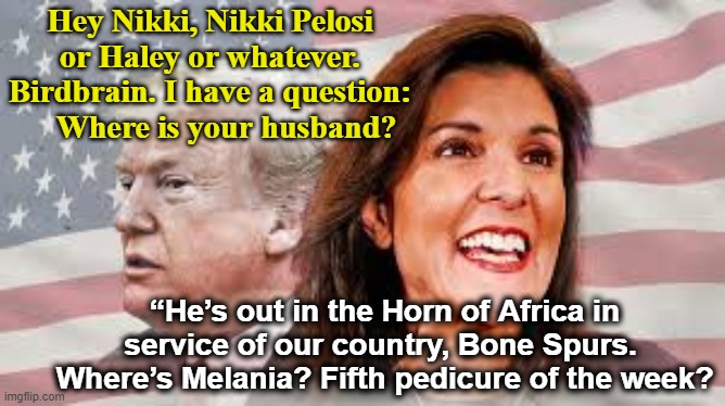 Trump and Haley on Spouses | Hey Nikki, Nikki Pelosi or Haley or whatever. Birdbrain. I have a question:     Where is your husband? “He’s out in the Horn of Africa in service of our country, Bone Spurs.  Where’s Melania? Fifth pedicure of the week? | image tagged in trump,melania trump meme,nevertrump meme,donald trump is an idiot,maga,republican debate | made w/ Imgflip meme maker