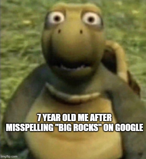 shocked turtle | 7 YEAR OLD ME AFTER MISSPELLING "BIG ROCKS" ON GOOGLE | image tagged in shocked turtle | made w/ Imgflip meme maker