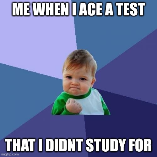 . | ME WHEN I ACE A TEST; THAT I DIDNT STUDY FOR | image tagged in memes,success kid | made w/ Imgflip meme maker