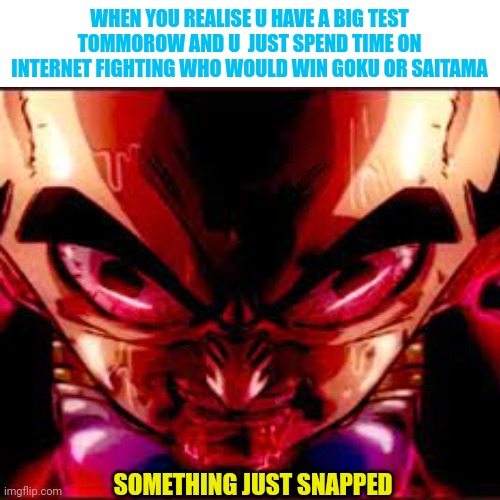It was worth though | WHEN YOU REALISE U HAVE A BIG TEST TOMMOROW AND U  JUST SPEND TIME ON INTERNET FIGHTING WHO WOULD WIN GOKU OR SAITAMA; SOMETHING JUST SNAPPED | image tagged in goku,saitama,anime,front page plz,memes,something just snapped | made w/ Imgflip meme maker
