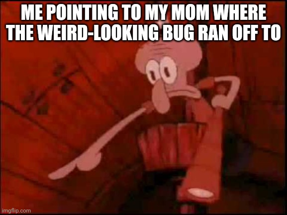 If I don't know what it is, I'm scared | ME POINTING TO MY MOM WHERE THE WEIRD-LOOKING BUG RAN OFF TO | image tagged in squidward pointing | made w/ Imgflip meme maker
