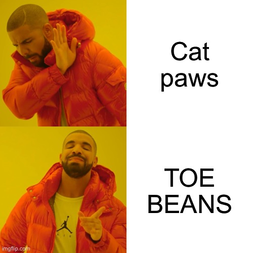 YASSS TOE BEANS | Cat paws; TOE BEANS | image tagged in memes,drake hotline bling,toes,cat,cats | made w/ Imgflip meme maker