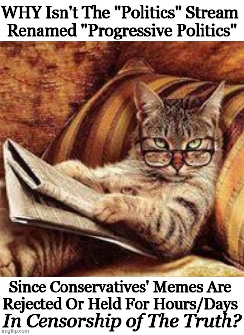 Question of the Day | image tagged in good question,liberals vs conservatives,censorship,freedom of speech,truth,double standards | made w/ Imgflip meme maker