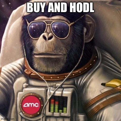 AMC stock | BUY AND HODL | image tagged in amc ape,buy,hodl,full moon,stocks,never gonna give you up | made w/ Imgflip meme maker