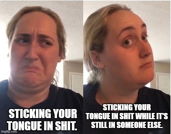 hmmm | LYLE; STICKING YOUR TONGUE IN SHIT WHILE IT'S STILL IN SOMEONE ELSE. STICKING YOUR TONGUE IN SHIT. | image tagged in hmmm | made w/ Imgflip meme maker