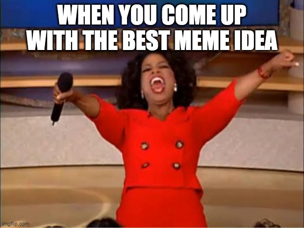 Meme Idea | WHEN YOU COME UP WITH THE BEST MEME IDEA | image tagged in memes,oprah you get a,idea | made w/ Imgflip meme maker
