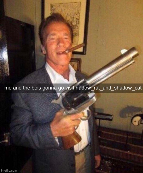 me and the bois gonna go visit hadow_rat_and_shadow_cat | made w/ Imgflip meme maker