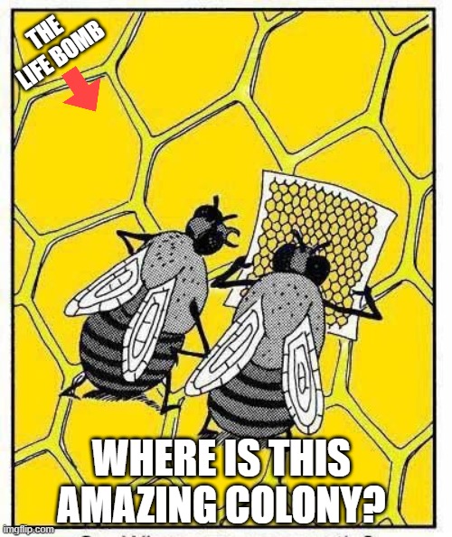 the amazing colony (the life bomb) | THE LIFE BOMB; WHERE IS THIS AMAZING COLONY? | image tagged in memes,bees,life,bomb | made w/ Imgflip meme maker
