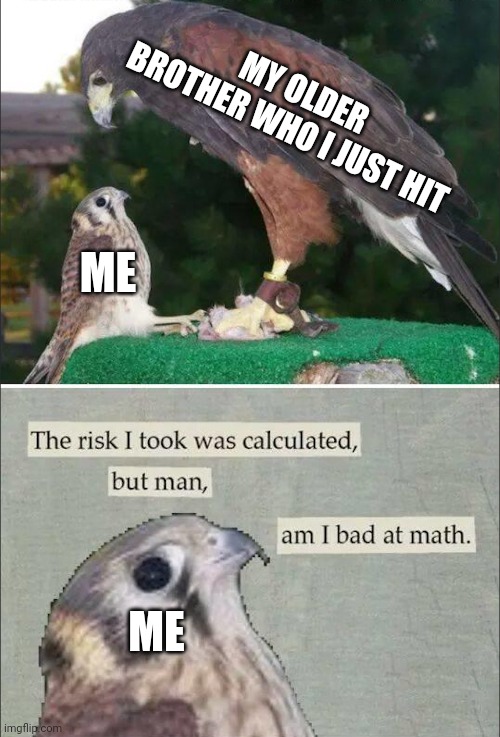 The Risk I took was calculated, but man, am I bad at Math | MY OLDER BROTHER WHO I JUST HIT; ME; ME | image tagged in the risk i took was calculated but man am i bad at math | made w/ Imgflip meme maker