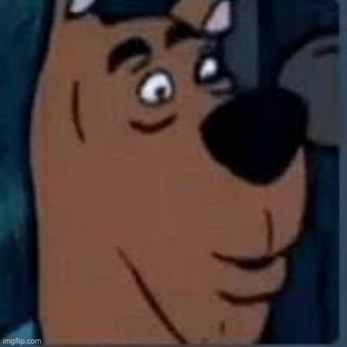 Ruh roh | image tagged in ruh roh,scooby doo | made w/ Imgflip meme maker