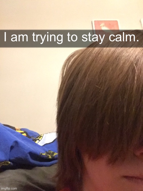 I am trying to stay calm. | made w/ Imgflip meme maker