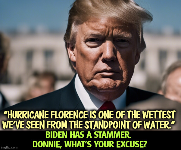 What an @$$hole! | "HURRICANE FLORENCE IS ONE OF THE WETTEST WE’VE SEEN FROM THE STANDPOINT OF WATER.”; BIDEN HAS A STAMMER. 
DONNIE, WHAT'S YOUR EXCUSE? | image tagged in biden,stammer,trump,mental illness | made w/ Imgflip meme maker