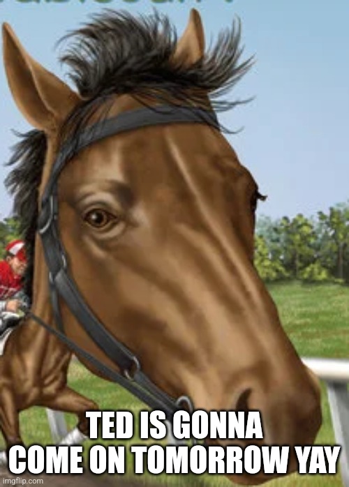Big horse | TED IS GONNA COME ON TOMORROW YAY | image tagged in big horse | made w/ Imgflip meme maker