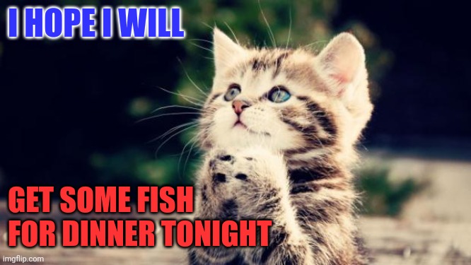 Fish for dinner | I HOPE I WILL; GET SOME FISH
FOR DINNER TONIGHT | image tagged in cute kitten,funny memes | made w/ Imgflip meme maker