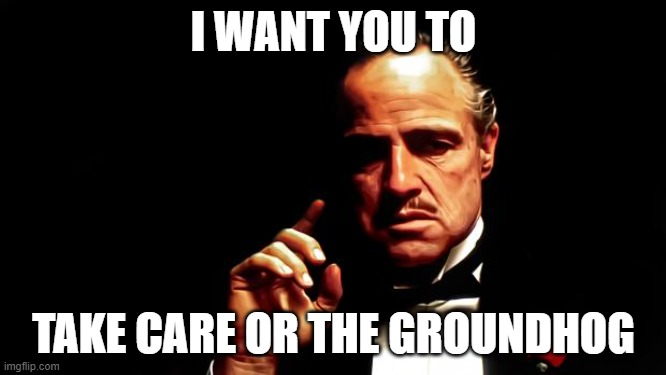 Godfather business | I WANT YOU TO; TAKE CARE OR THE GROUNDHOG | image tagged in godfather business | made w/ Imgflip meme maker
