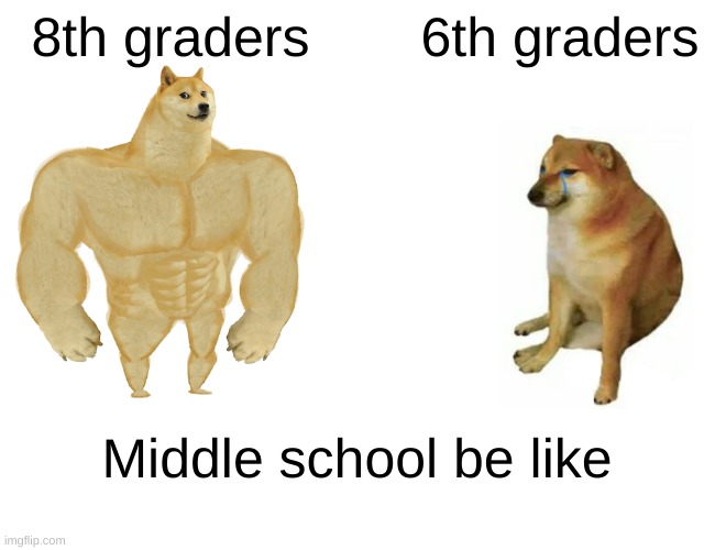 Middle school be like | 8th graders; 6th graders; Middle school be like | image tagged in memes,buff doge vs cheems,doge,middle school | made w/ Imgflip meme maker
