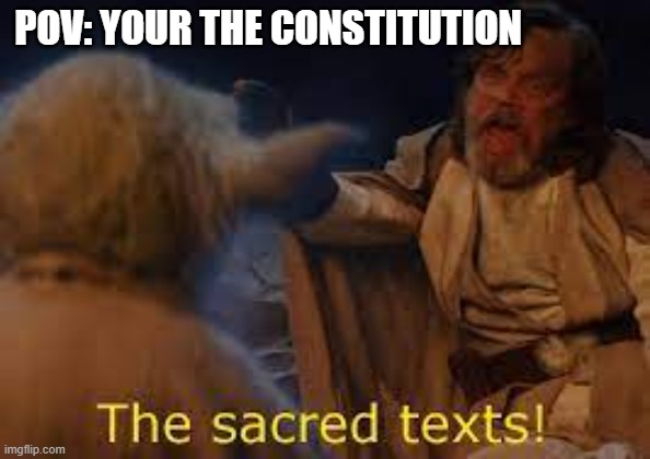 Government | POV: YOUR THE CONSTITUTION | image tagged in star wars | made w/ Imgflip meme maker