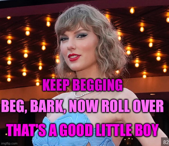 Taylor having some fun | BEG, BARK, NOW ROLL OVER; KEEP BEGGING; THAT'S A GOOD LITTLE BOY | image tagged in taylor swift in blue | made w/ Imgflip meme maker