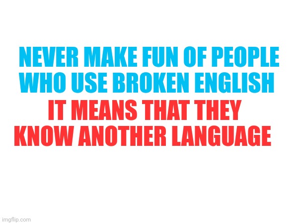 Which language do you speak ?! | NEVER MAKE FUN OF PEOPLE WHO USE BROKEN ENGLISH; IT MEANS THAT THEY KNOW ANOTHER LANGUAGE | image tagged in memes,fun,front page plz,dog,lol | made w/ Imgflip meme maker