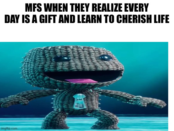 sackboy | MFS WHEN THEY REALIZE EVERY DAY IS A GIFT AND LEARN TO CHERISH LIFE | image tagged in cool | made w/ Imgflip meme maker
