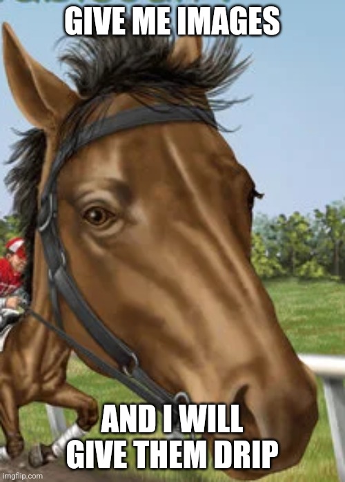 Big horse | GIVE ME IMAGES; AND I WILL GIVE THEM DRIP | image tagged in big horse | made w/ Imgflip meme maker