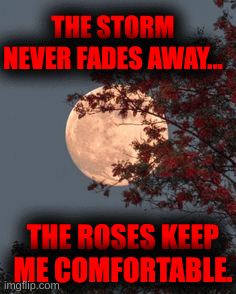 THE STORM NEVER FADES AWAY... THE ROSES KEEP ME COMFORTABLE. | image tagged in gifs | made w/ Imgflip images-to-gif maker