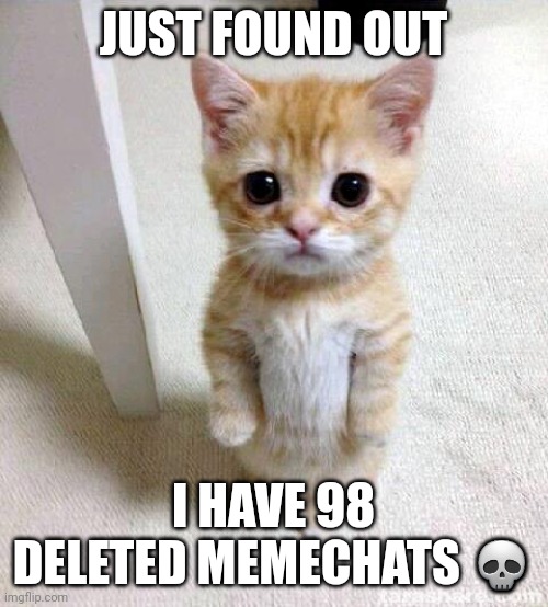Damn | JUST FOUND OUT; I HAVE 98 DELETED MEMECHATS 💀 | image tagged in memes,cute cat | made w/ Imgflip meme maker