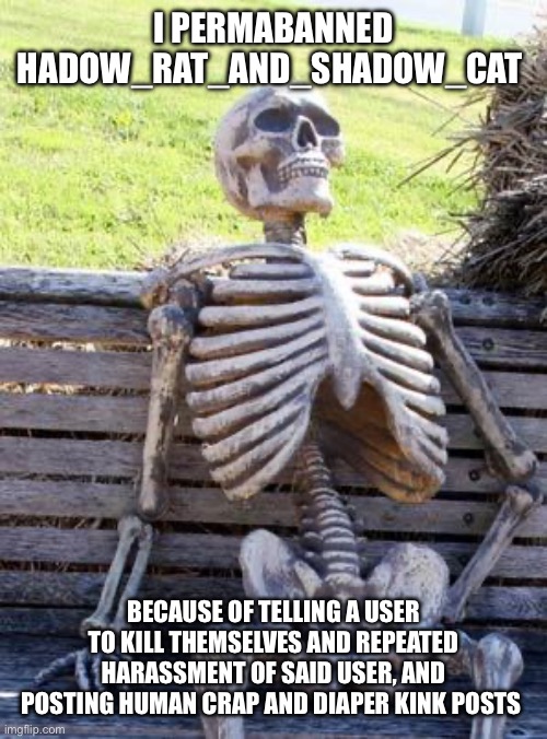 Waiting Skeleton | I PERMABANNED HADOW_RAT_AND_SHADOW_CAT; BECAUSE OF TELLING A USER TO KILL THEMSELVES AND REPEATED HARASSMENT OF SAID USER, AND POSTING HUMAN CRAP AND DIAPER KINK POSTS | image tagged in memes,waiting skeleton | made w/ Imgflip meme maker