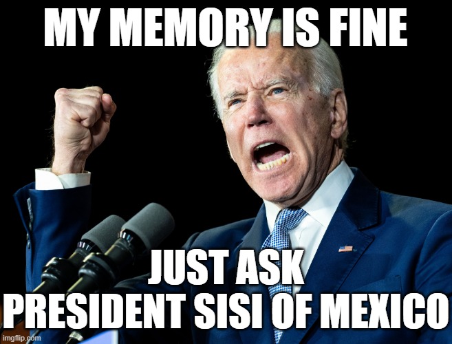 Joe Biden's fist | MY MEMORY IS FINE JUST ASK PRESIDENT SISI OF MEXICO | image tagged in joe biden's fist | made w/ Imgflip meme maker