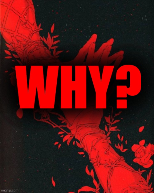 WHY? | made w/ Imgflip meme maker