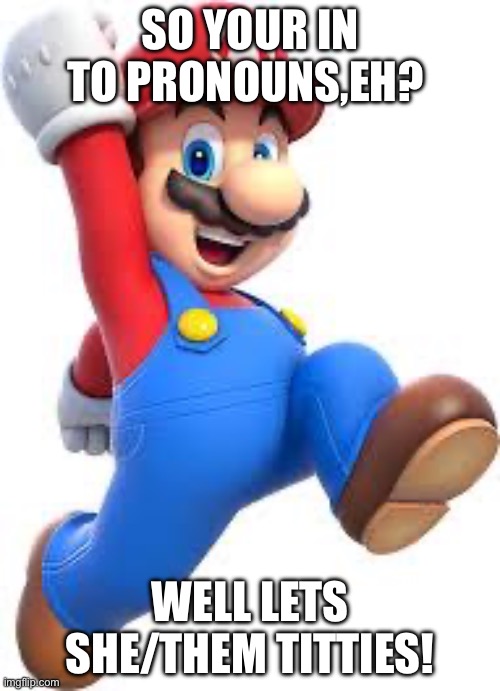 mario | SO YOUR IN TO PRONOUNS,EH? WELL LETS SHE/THEM TITTIES! | image tagged in mario | made w/ Imgflip meme maker