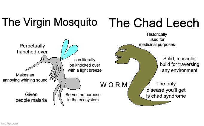 Mosquitoes suck. 'Nuff said | The Chad Leech; The Virgin Mosquito; Historically used for medicinal purposes; Perpetually hunched over; can literally be knocked over with a light breeze; Solid, muscular build for traversing any environment; Makes an annoying whining sound; W O R M; The only disease you'll get is chad syndrome; Gives people malaria; Serves no purpose in the ecosystem | image tagged in mosquitoes,virgin vs chad,bugs,nature,worms,the truth | made w/ Imgflip meme maker