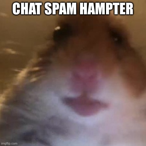 Hampter | CHAT SPAM HAMSTER | image tagged in hampter | made w/ Imgflip meme maker