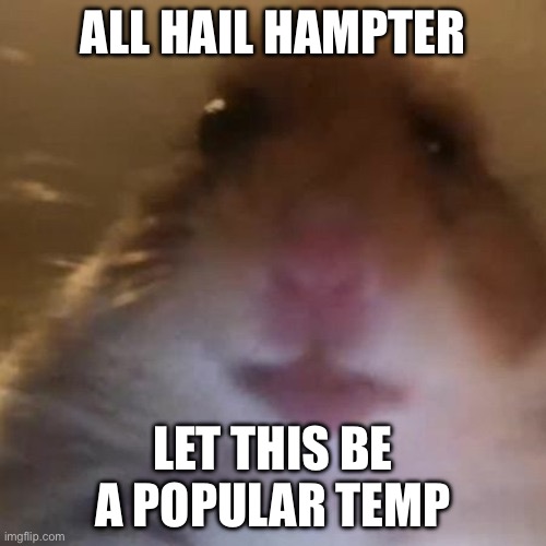 Hampter | ALL HAIL HAMPTER; LET THIS BE A POPULAR TEMP | image tagged in hampter | made w/ Imgflip meme maker