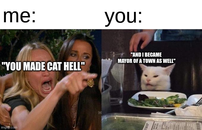 Woman Yelling At Cat Meme | me: you: "YOU MADE CAT HELL" "AND I BECAME 
MAYOR OF A TOWN AS WELL" | image tagged in memes,woman yelling at cat | made w/ Imgflip meme maker