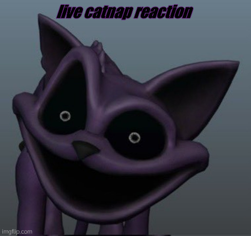 LOLZ | live catnap reaction | image tagged in poppy playtime | made w/ Imgflip meme maker