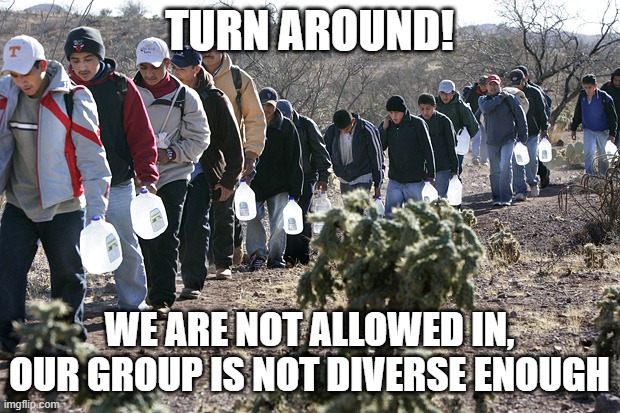 Sorry but you have to follow the DEI rules | TURN AROUND! WE ARE NOT ALLOWED IN, OUR GROUP IS NOT DIVERSE ENOUGH | image tagged in illegal immigrants crossing border,dei,turn around,next time bring some trannies,to male,to ethnic | made w/ Imgflip meme maker