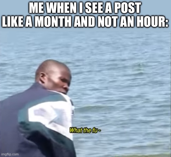 What the fu- | ME WHEN I SEE A POST LIKE A MONTH AND NOT AN HOUR: | image tagged in what the fu- | made w/ Imgflip meme maker