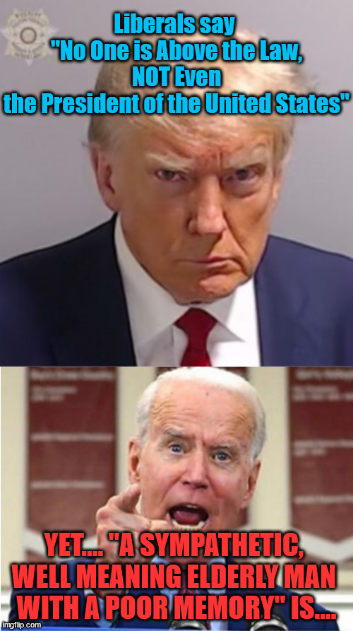 The Hypocrisy | Liberals say 
"No One is Above the Law,
 NOT Even 
the President of the United States"; YET.... "A SYMPATHETIC, 
WELL MEANING ELDERLY MAN 
WITH A POOR MEMORY" IS.... | image tagged in donald trump mugshot,joe biden is not my president | made w/ Imgflip meme maker