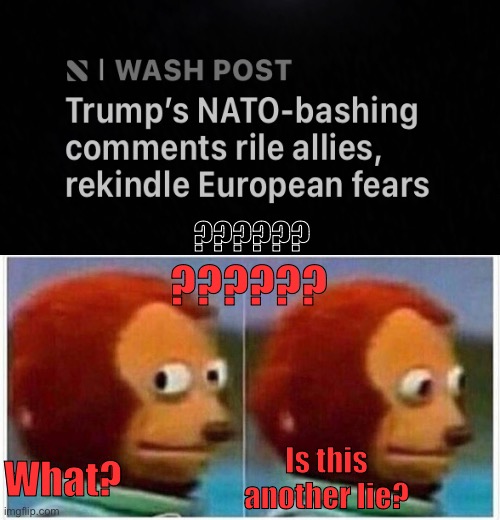 Monkey Puppet Meme | ?????? ?????? Is this another lie? What? | image tagged in memes,monkey puppet,donald trump,nato | made w/ Imgflip meme maker