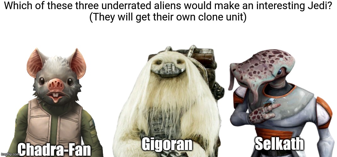 Please vote on this! I'm having trouble deciding | Which of these three underrated aliens would make an interesting Jedi?
(They will get their own clone unit); Chadra-Fan; Selkath; Gigoran | image tagged in jedi | made w/ Imgflip meme maker