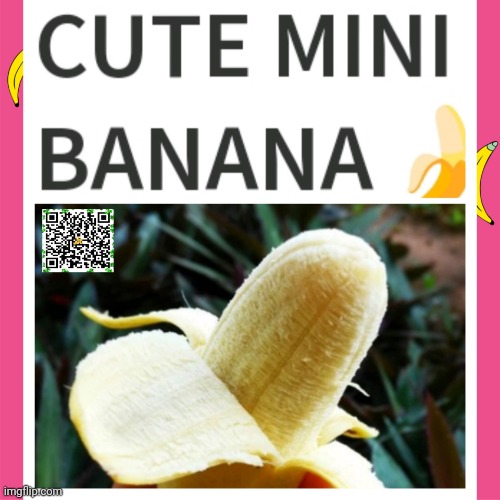 Cute Mini Banana | image tagged in cute mini banana,cute mini cut banana,asian banana | made w/ Imgflip meme maker