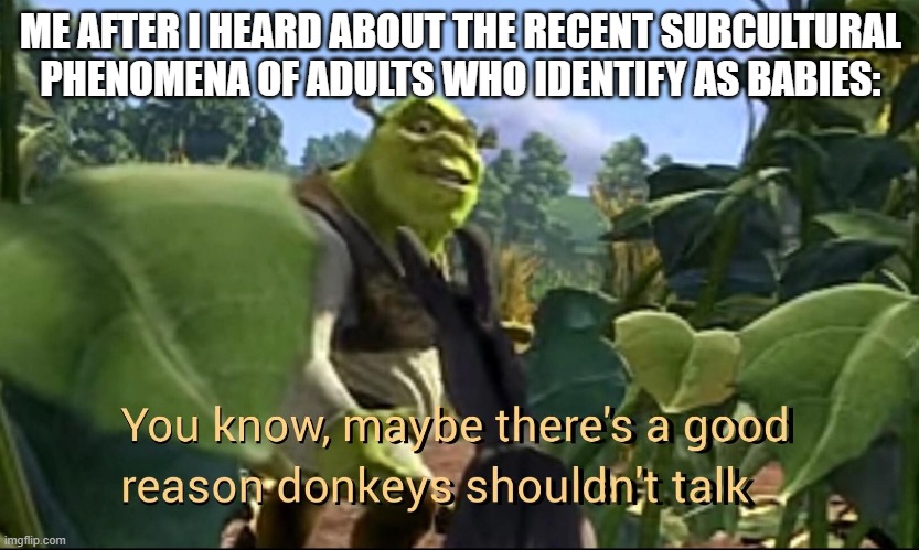 "Age is just a number". Yeah, and jail and the mental asylum are just buildings. | ME AFTER I HEARD ABOUT THE RECENT SUBCULTURAL PHENOMENA OF ADULTS WHO IDENTIFY AS BABIES: | image tagged in maybe there's a good reason donkeys shouldn't talk | made w/ Imgflip meme maker