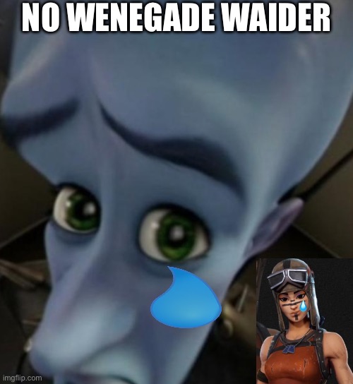 No wenegade waider | NO WENEGADE WAIDER | image tagged in megamind no bitches | made w/ Imgflip meme maker