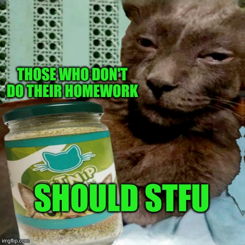 Shit Poster 4 Lyfe | THOSE WHO DON'T DO THEIR HOMEWORK; SHOULD STFU | image tagged in ship osta 4 lyfe,election,corruption,homework,lazy,stfu | made w/ Imgflip meme maker