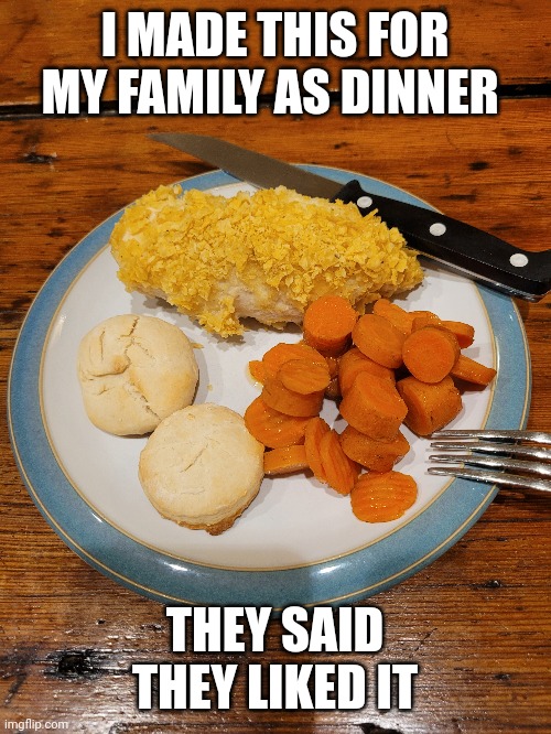 I MADE THIS FOR MY FAMILY AS DINNER; THEY SAID THEY LIKED IT | image tagged in dinner | made w/ Imgflip meme maker
