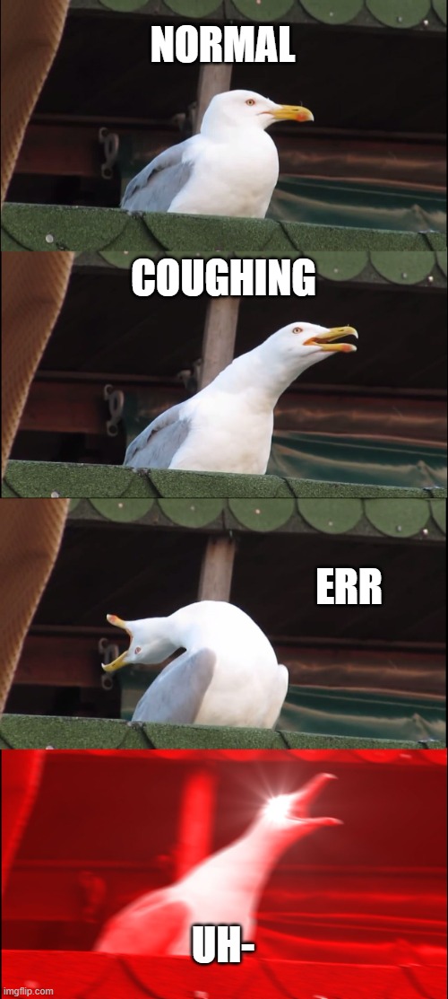 SomethingIsWrongWithThisBird | NORMAL; COUGHING; ERR; UH- | image tagged in memes,inhaling seagull,shocker,evil | made w/ Imgflip meme maker