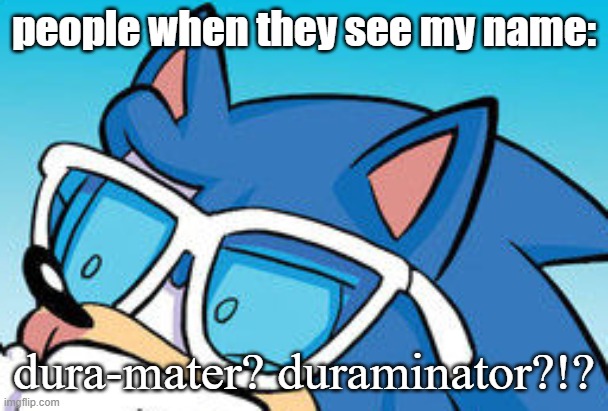 sonic confused | people when they see my name:; dura-mater? duraminator?!? | image tagged in sonic confused | made w/ Imgflip meme maker