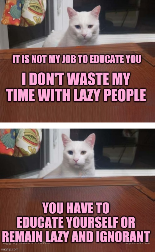Egg the Cat 2 | IT IS NOT MY JOB TO EDUCATE YOU; I DON'T WASTE MY TIME WITH LAZY PEOPLE; YOU HAVE TO EDUCATE YOURSELF OR REMAIN LAZY AND IGNORANT | image tagged in egg the cat 2,cats,education,one does not simply,lazy,ignorant | made w/ Imgflip meme maker