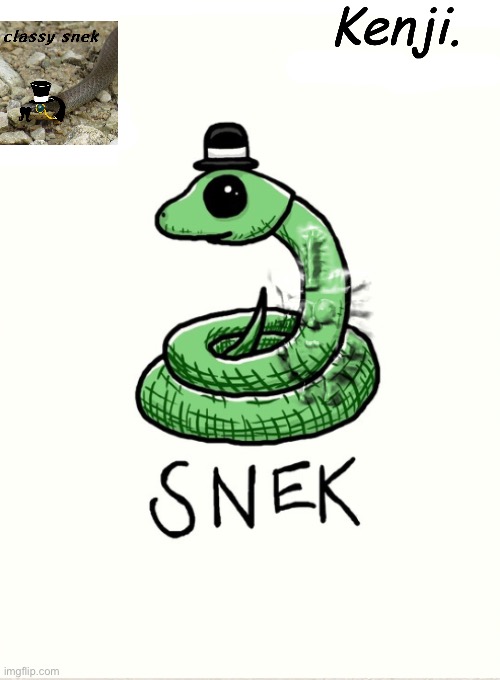 snek | image tagged in snek | made w/ Imgflip meme maker